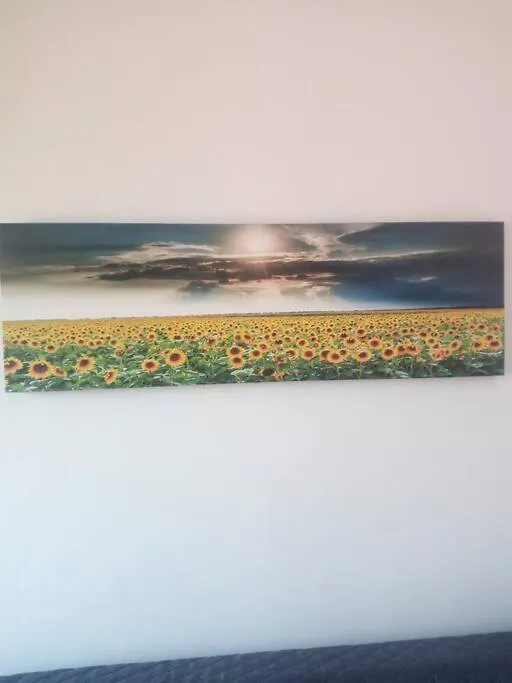 Apartment Ferienwohnung Il Girasole Cagliari Italien